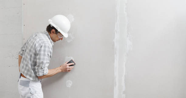 Best Water Damage & Mold Remediation  in Newbern, TN